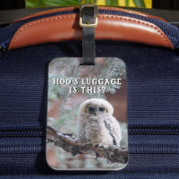 Hoo's Luggage? Mexican Spotted Owl