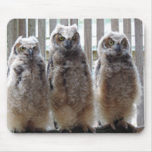 Hoot! Hoot! Hoot! Mousepad