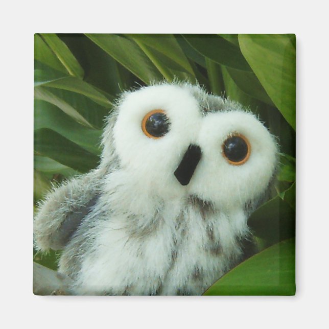 Hoot Hoot! Magnet (Front)