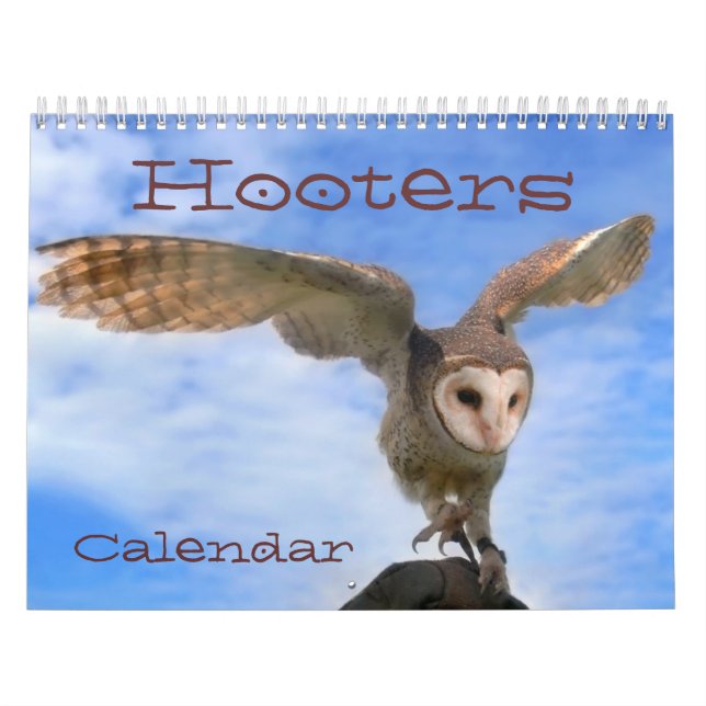 Hooters 2012 Calendar (Cover)