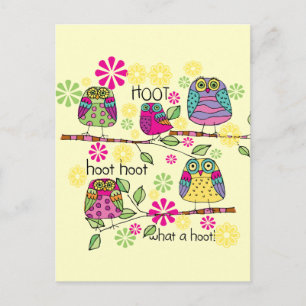 Hootie Owl Postcard