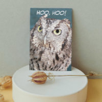 Hooting Screech Owl Funny Birthday
