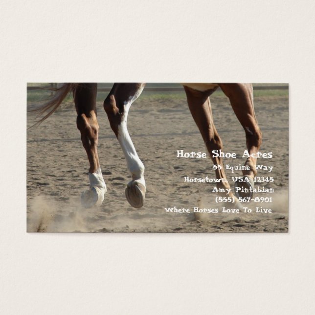 Hooves in Motion (Front)