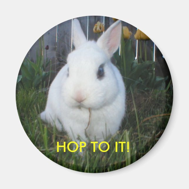 HOP TO IT! BUNNY MAGNET (Front)