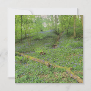 Hop Yard Wood Greetings Card