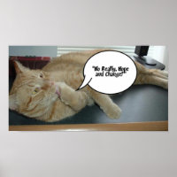 Hope and Change Orange Tabby Cat