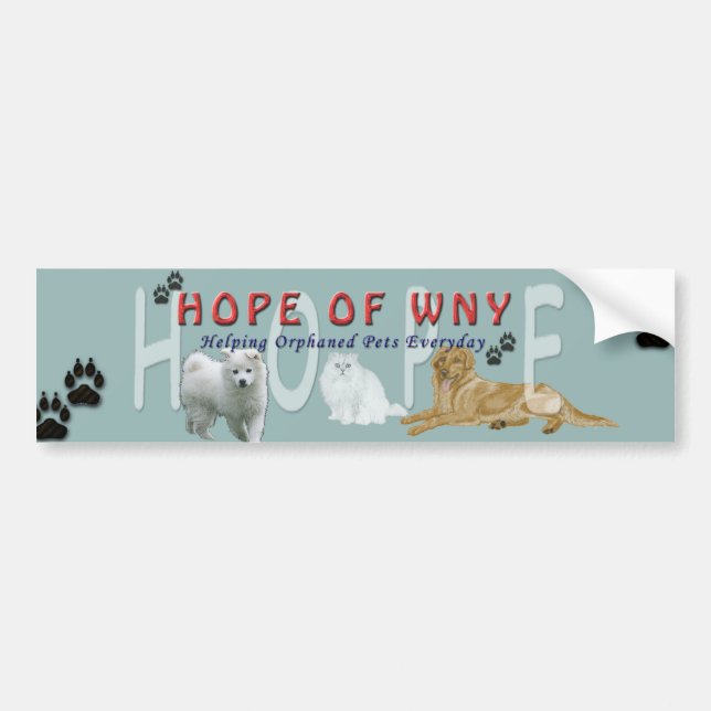 HOPE Bumper Sticker (Front)