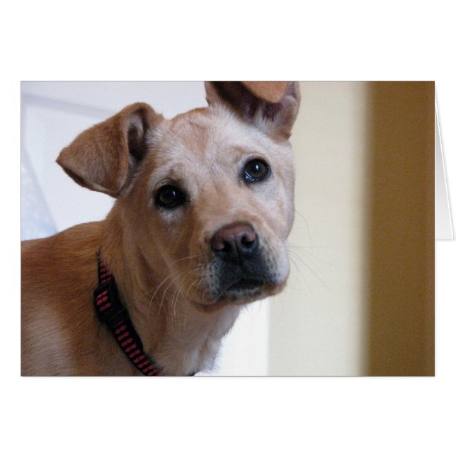 Hope everything's alright (Front Horizontal)