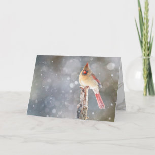 Hope, Female Red Cardinal Folded Greeting Card