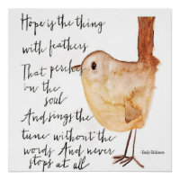 Hope is the Thing with Feathers