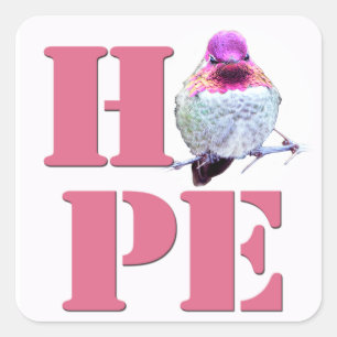 HOPE Pink Anna's Hummingbird Photo Square Sticker