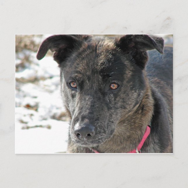 Hope Postcard (Front)