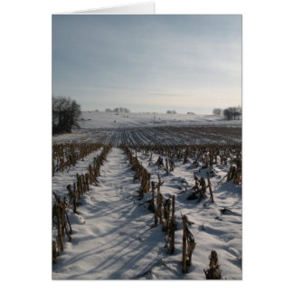 Hope Springs Eternal