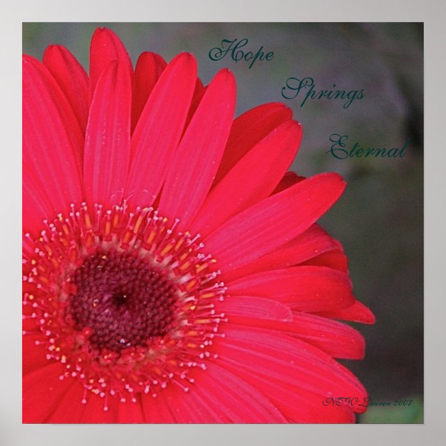 Hope Springs Eternal... Poster (Front)