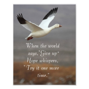 Hope whispers try it one more time photo print