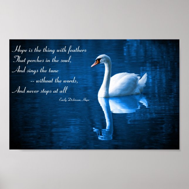Hope, White Swan on Blue Waters Poster (Front)