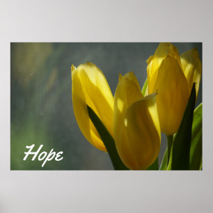 Hope - Yellow Tulip Flowers Poster