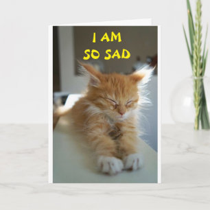 **HOPE YOU ARE FEELING BETTER** CARD