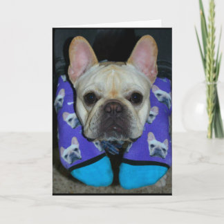 Hope Your Birthday Is Dog-Gone Happy! Card