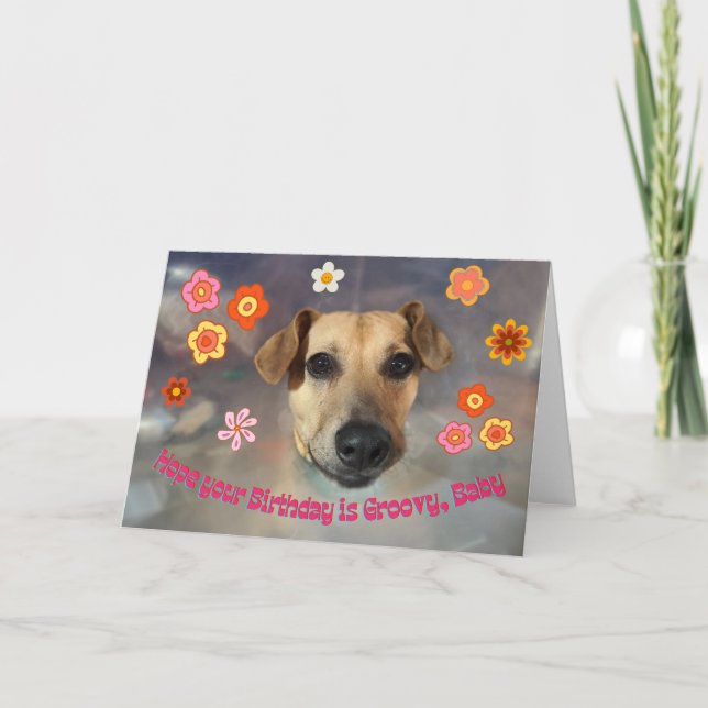 Hope Your Birthday Is Groovy with Funny Dog Card (Front)