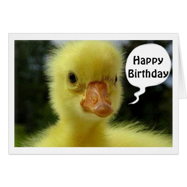 HOPE YOUR BIRTHDAY IS JUST DUCKY SAYS DUCKLING (Front Horizontal)
