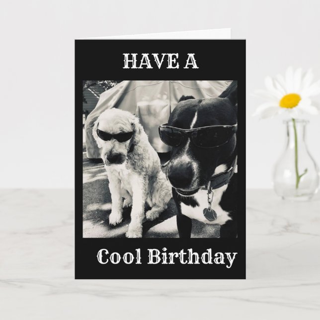 HOPE YOUR BIRTHDAY IS THE "COOLEST" ONE EVER CARD (Small Plant)