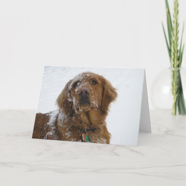 Hope Your Holidays Are Golden Holiday Card (Front)