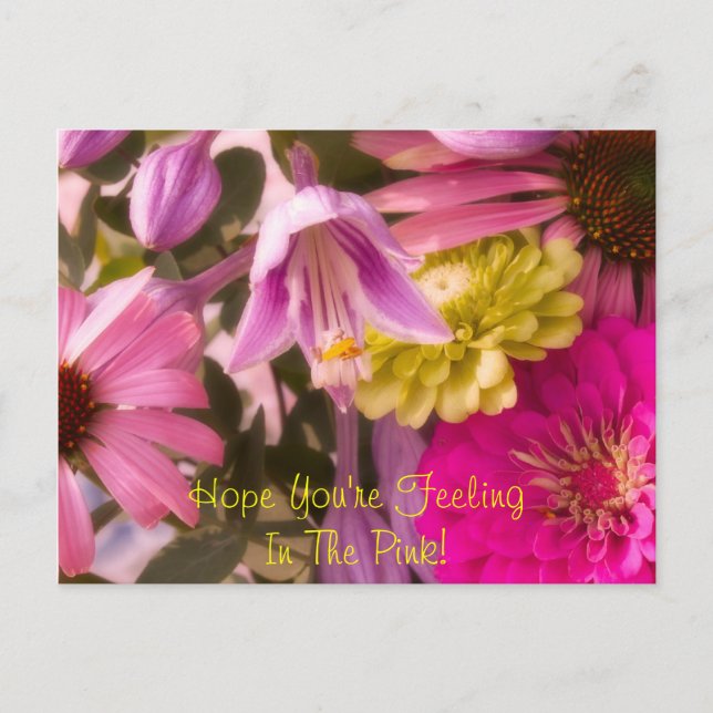 Hope You're FeelingIn The Pink! Postcard (Front)