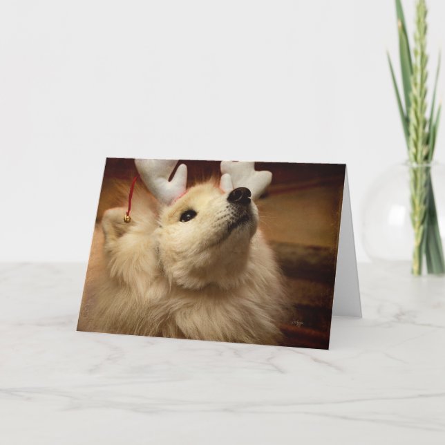 Hopeful Christmas Dog in Reindeer Ears Card (Front)