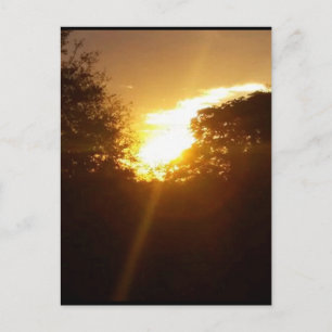 hopeful golden sunrise postcard