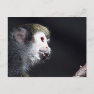 "Hopeful" Post Card