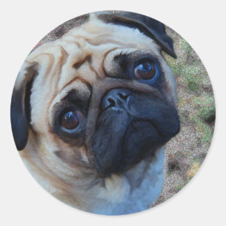 Hopeful Pug Classic Round Sticker