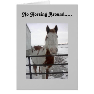 HOPEFULLY U CAN HORSE AROUND-40th