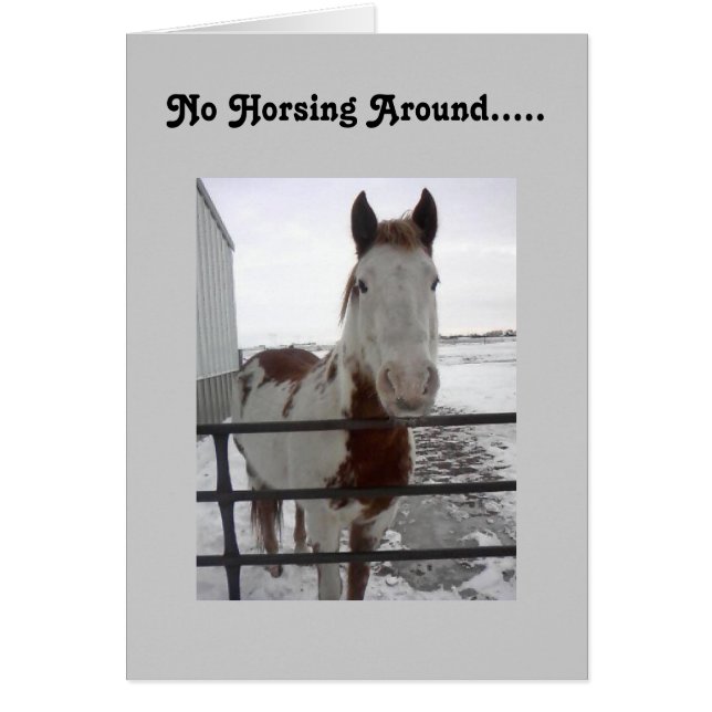 HOPEFULLY U CAN HORSE AROUND-40th (Front)