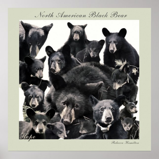 Hope's LIfe Poster (Front)