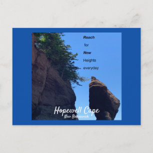 Hopewell Cape New Brunswick Postcard