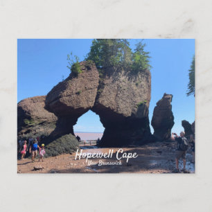 Hopewell Cape New Brunswick Postcard