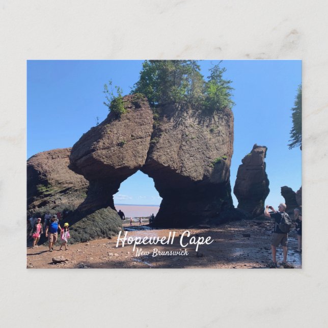 Hopewell Cape New Brunswick Postcard (Front)