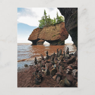 Hopewell Flowerpot Rocks New Brunswick Postcard