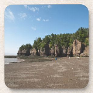 Hopewell Rocks and The Ocean Tidal Exploration Coaster
