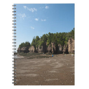 Hopewell Rocks and The Ocean Tidal Exploration Notebook