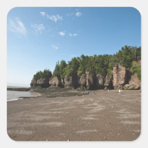 Hopewell Rocks and The Ocean Tidal Exploration Square Sticker