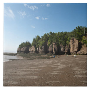 Hopewell Rocks and The Ocean Tidal Exploration Tile