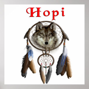 Hopi Indians Poster