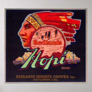 Hopi Orange LabelRedlands, CA Poster