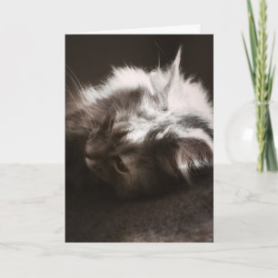 Hoping Things Look Up/Thinking of You Card