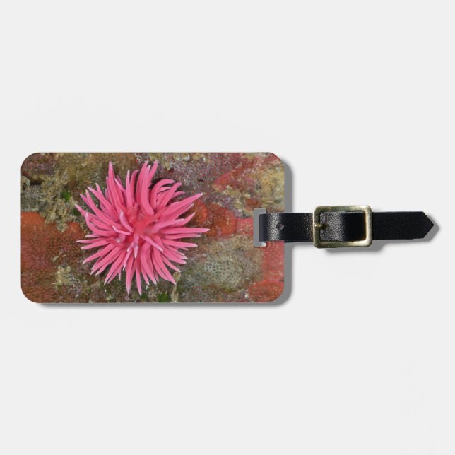 Hopkins Rose Nudibranch Luggage Tag (Front Horizontal)