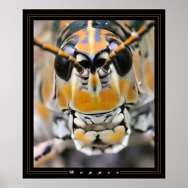 Hopper Poster (Front)