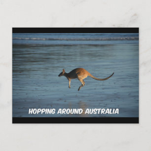 Hopping Around Australia Kangaroo Postcard