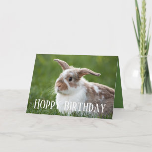 Hoppy Birthday Bunny Card